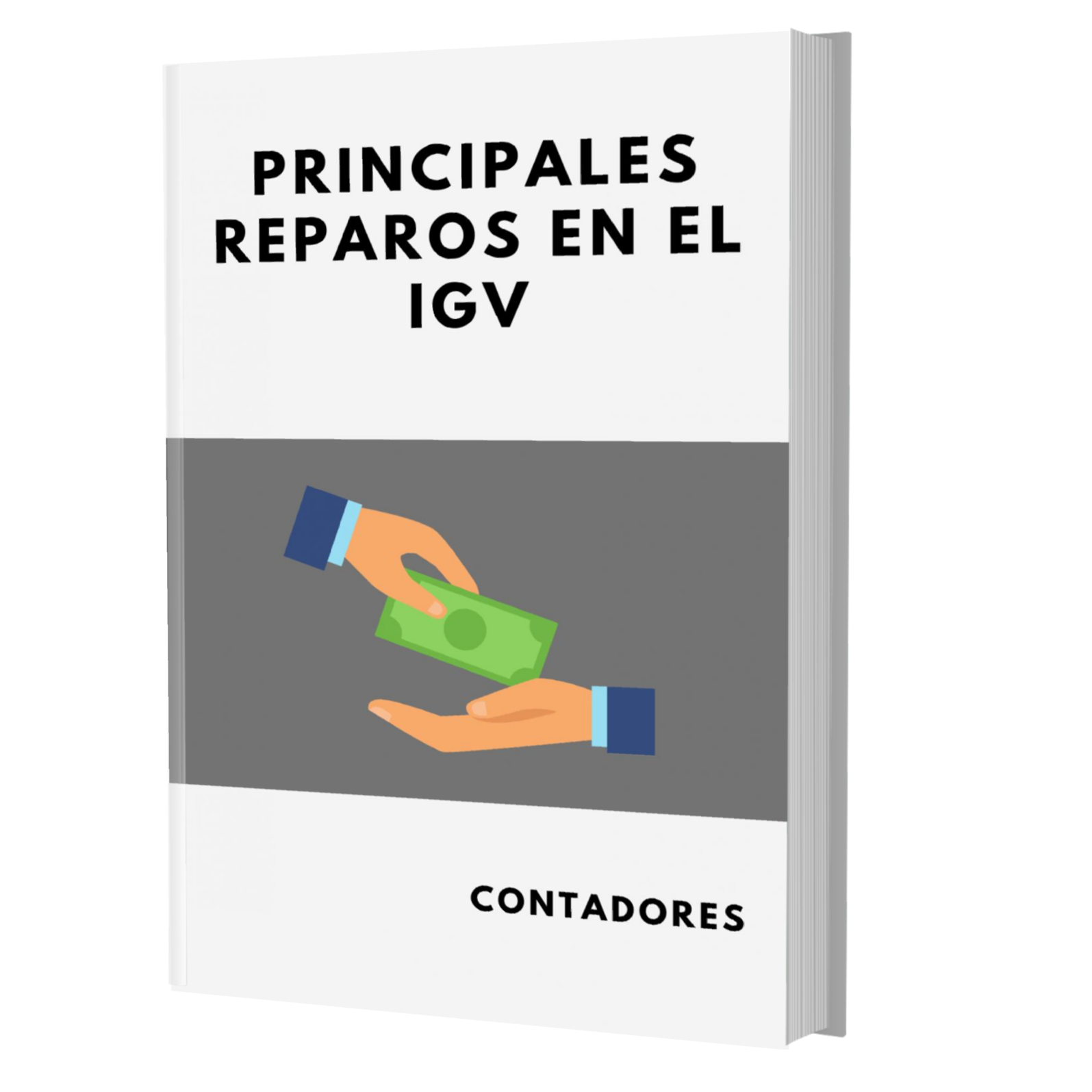 PRINCIPALES REPAROS EN EL IGV